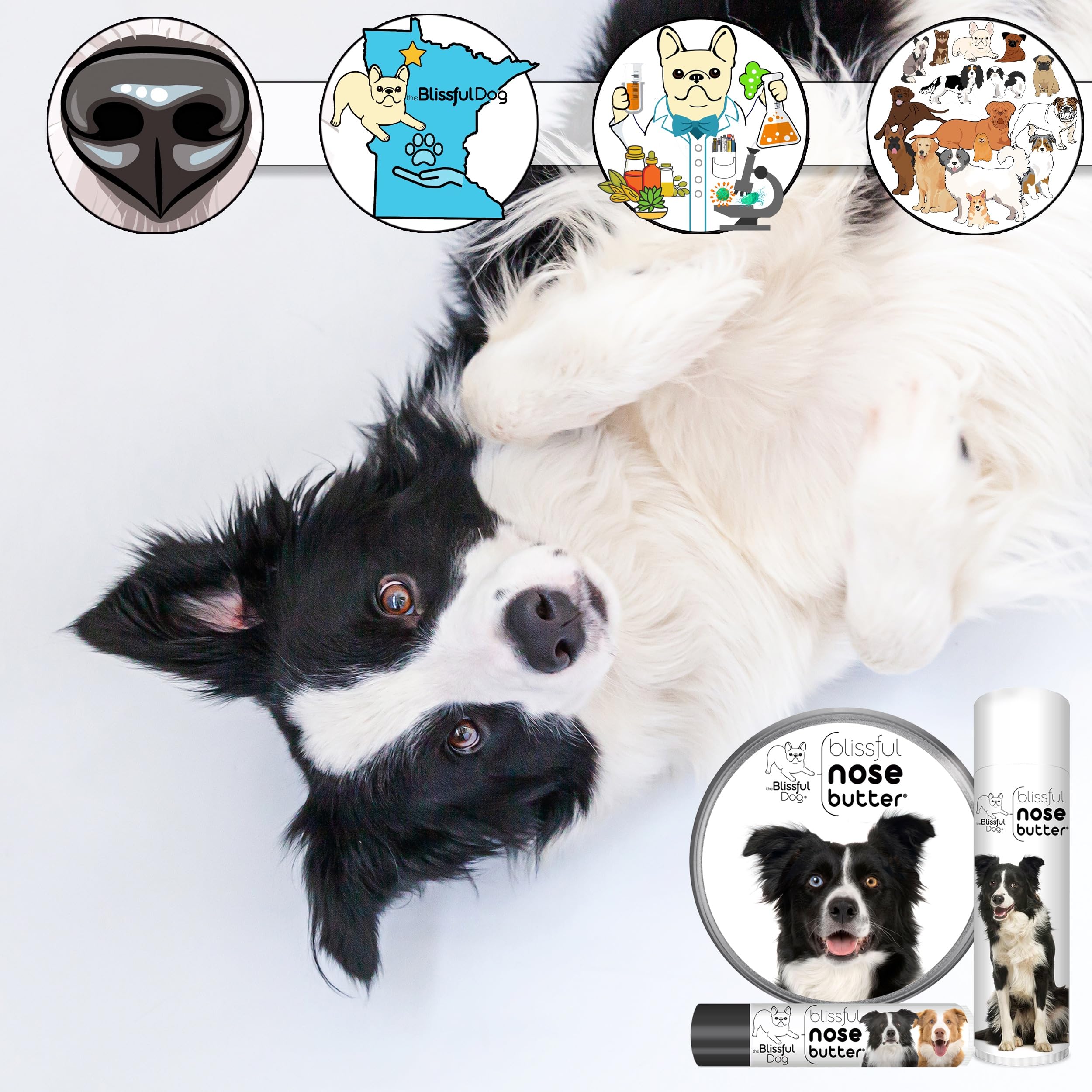 The Blissful Dog Border Collie Unscented Nose Butter, 16oz